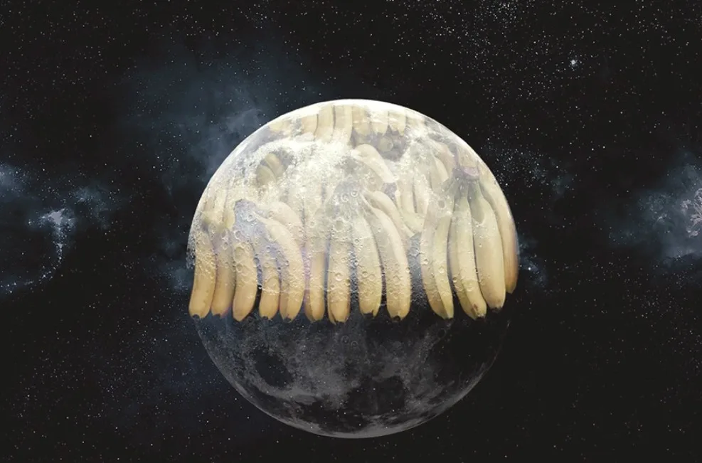 Collage: the moon filled with bananas